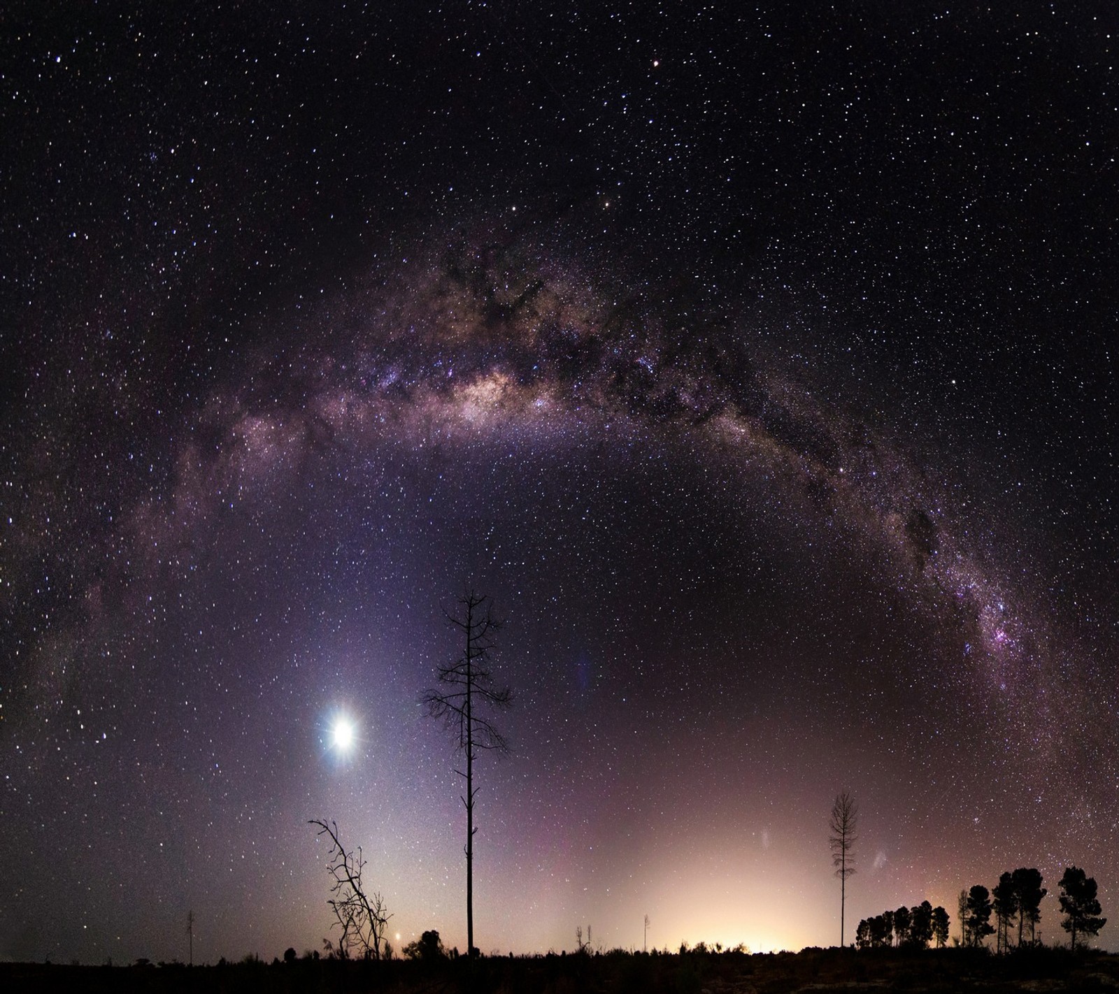 Via láctea e estrelas no céu noturno com árvores em primeiro plano (abej, beograd, céu, amor)