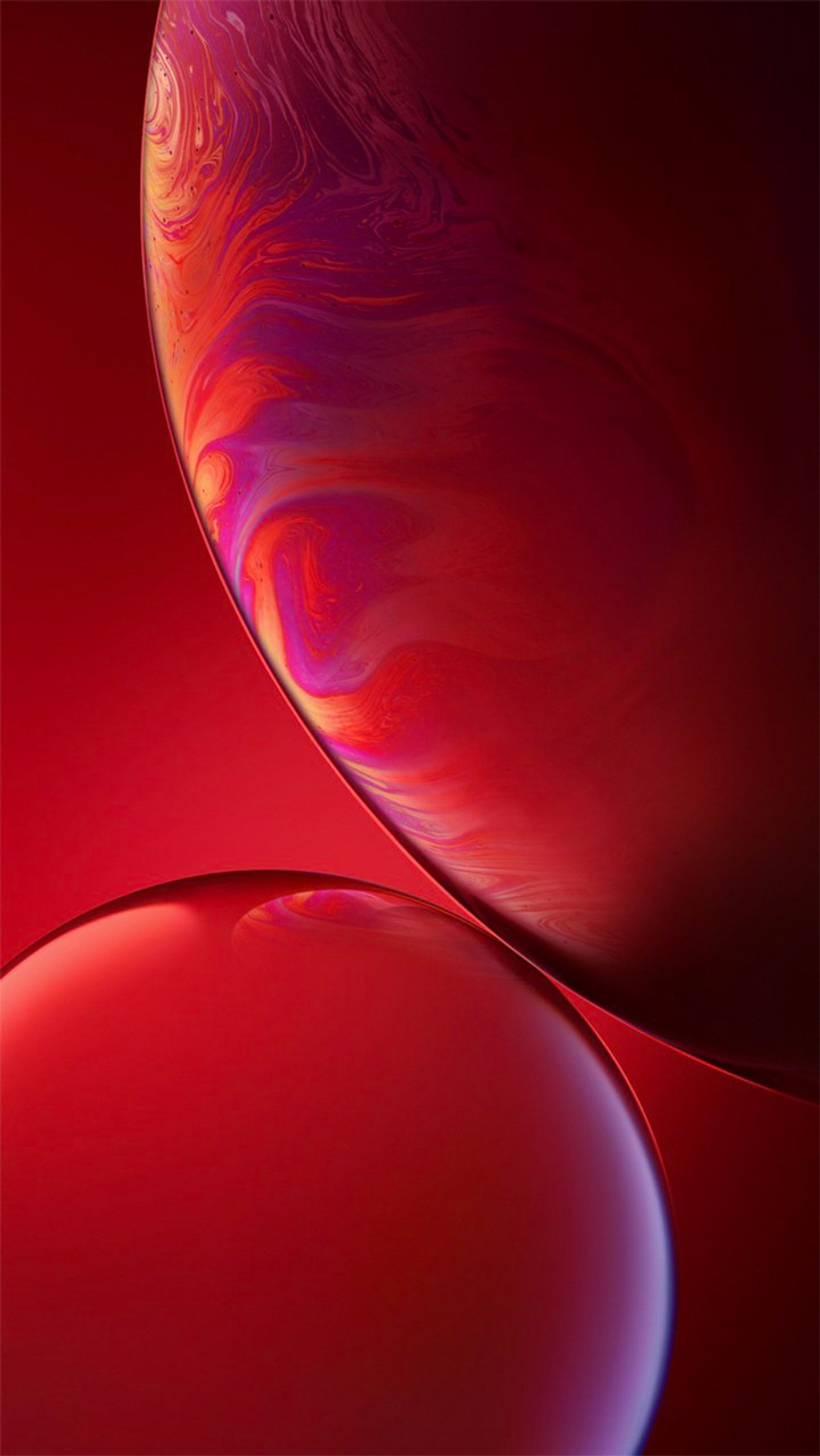 A close up of a red iphone xr with a red background (apple, iphone, manpie, wallpaper)