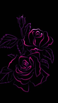 rose, roses, neon, pink, red wallpaper