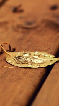 A close-up of a golden leaf with droplets resting on it, resting on a wooden surface, surrounded by nature.