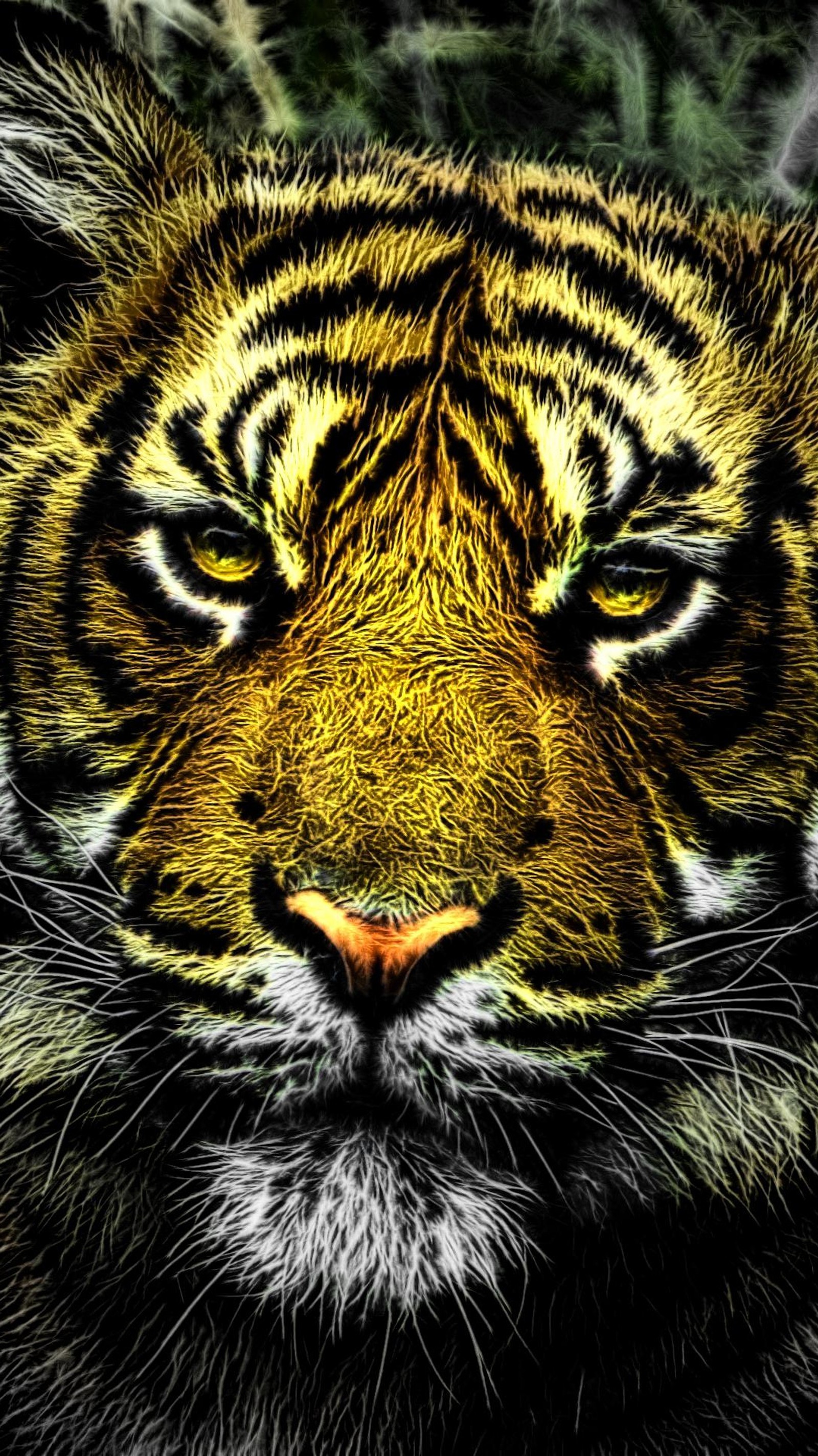 A close up of a tiger's face with a blurry background (animals, art, cool, fractalius, nature)