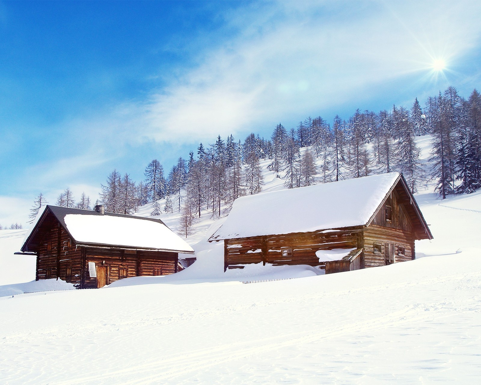 Il y a deux cabanes en bois dans la neige avec des arbres en arrière-plan (frozen, glace, cieux, neige, arbres)