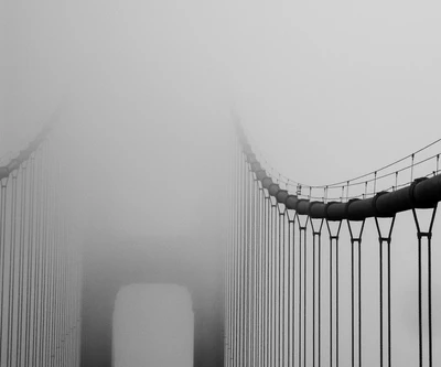 brücke, nebel