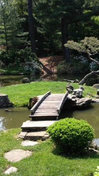 Jardim japonês sereno com ponte de madeira e riacho