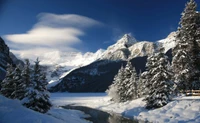 Snow-covered mountains frame a serene winter landscape at Lake Louise, with evergreen trees lining the icy shore under a clear blue sky.