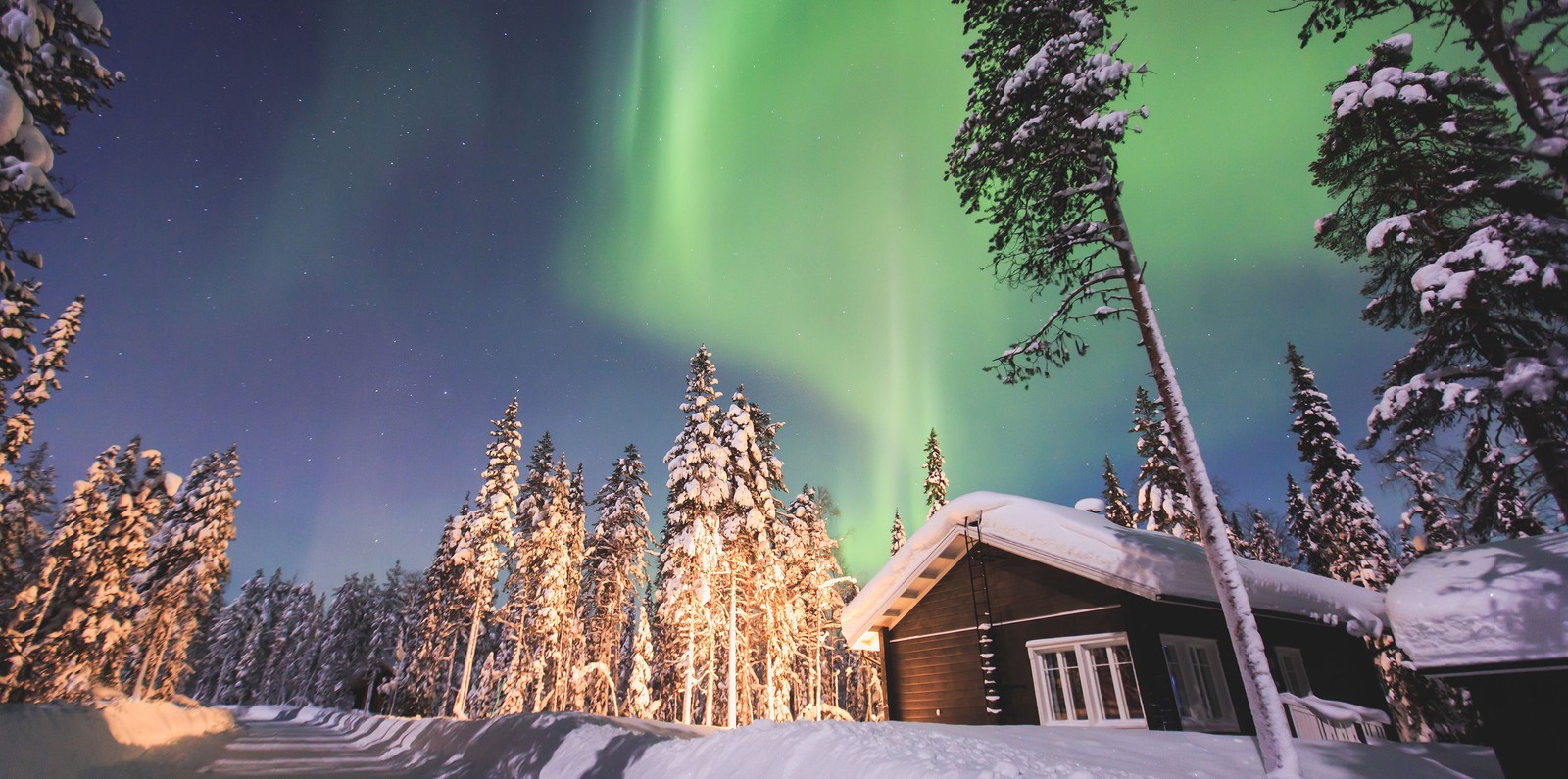 Eine grüne nordlichter erleuchtet den himmel über einer hütte im wald (reise, aurora, natur, winter, baum)