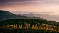 Lebendige Herbstlandschaft bei Sonnenaufgang über dem bergigen Grat