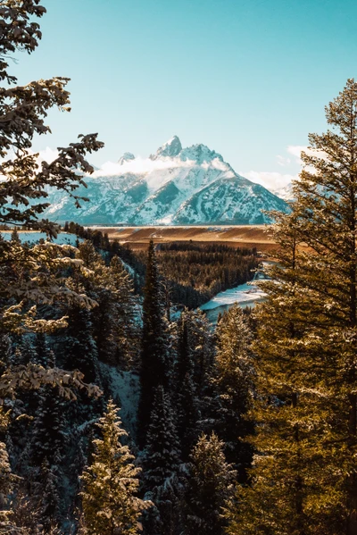 parc national de grand teton, formes montagneuses, paysage naturel, biome, ciel