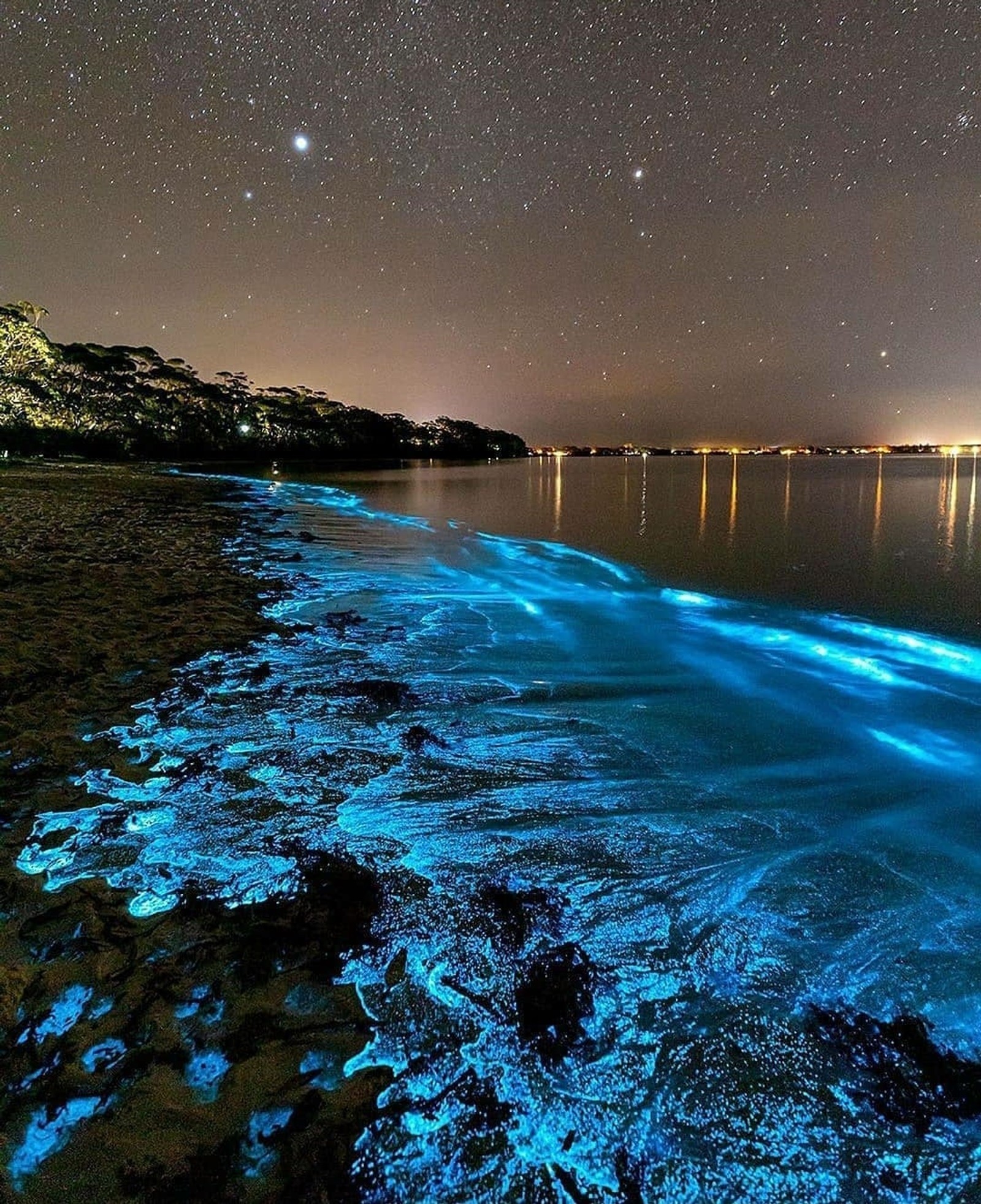 Arafed view of a beach with a body of water and a sky full of stars (sea, ocean, coast, water, atmosphere)