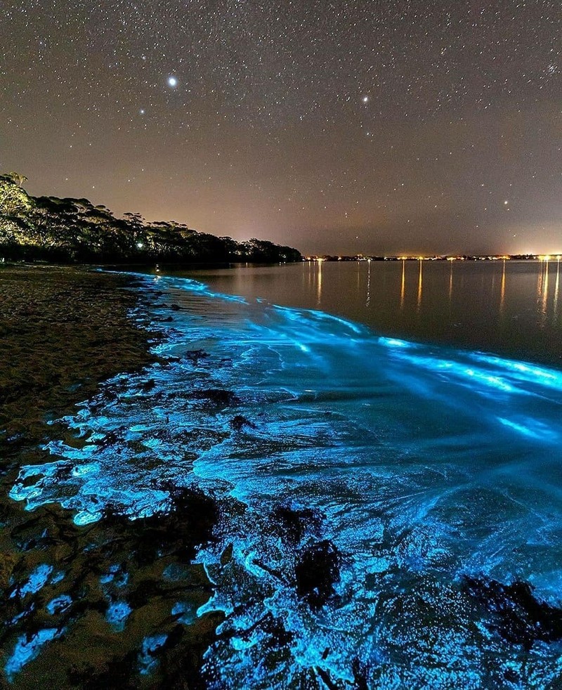 Арабский вид на пляж с водой и небом, полным звезд (море, океан, берег, вода, атмосфера)