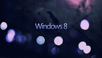 Windows 8: A Blend of Light and Dark Elegance