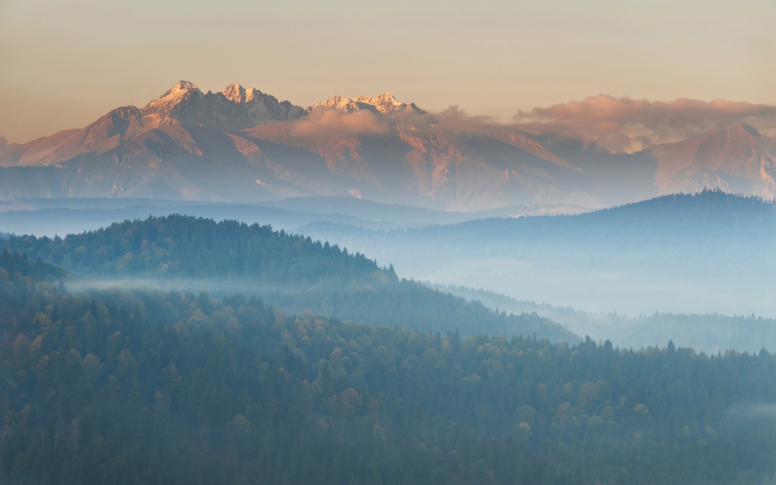 Montanhas ao longe com um vale nublado abaixo (montanha, natureza, neve, árvore, atmosfera)