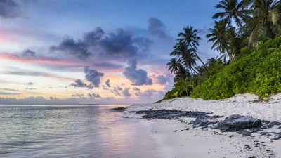 Línea costera tropical al atardecer con palmeras exuberantes y aguas tranquilas