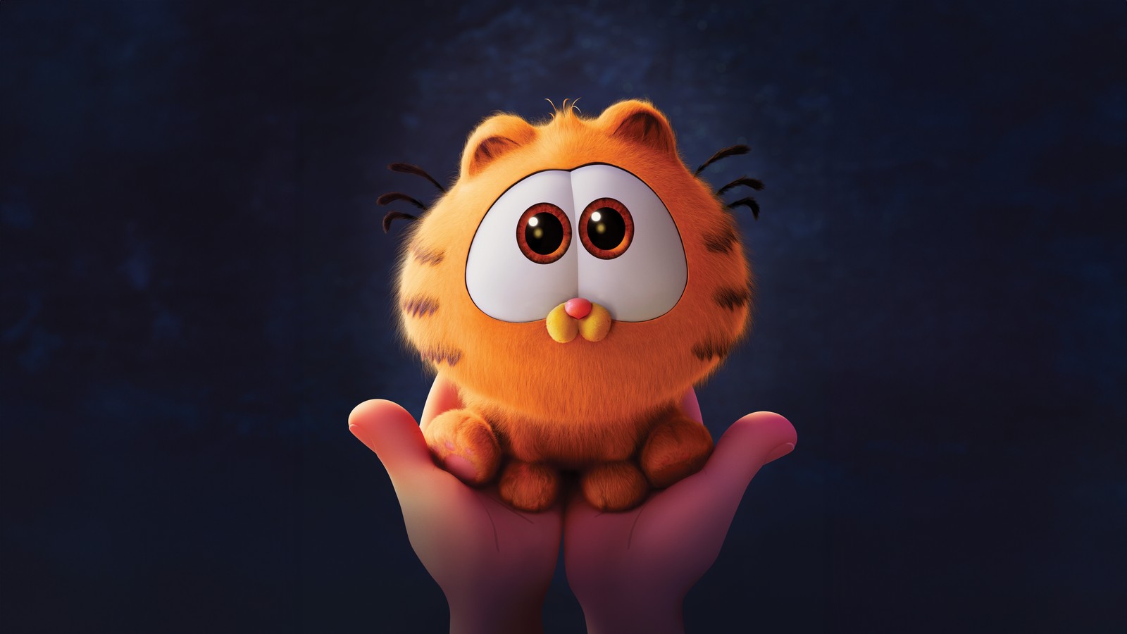 Alguien sosteniendo un peluche en sus manos con un fondo oscuro. (la película de garfield, 5k, películas de 2024, películas de animación, bebé garfield)