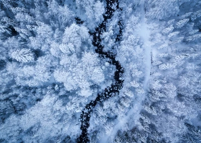 Vista aérea de uma floresta de inverno coberta de neve com um riacho sinuoso.