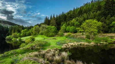 Paisaje montañoso exuberante con lago tranquilo y bosques verdes