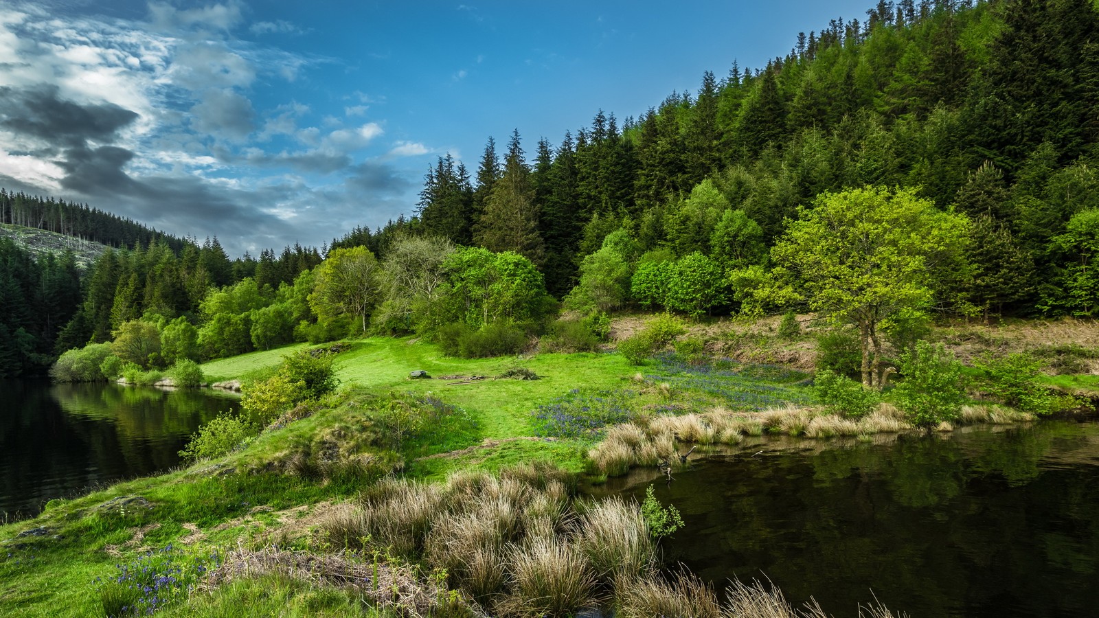 nature, vegetation, wilderness, nature reserve, sky wallpaper