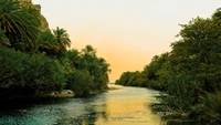 natur, fluss, wasser, vegetation, wasserstraße