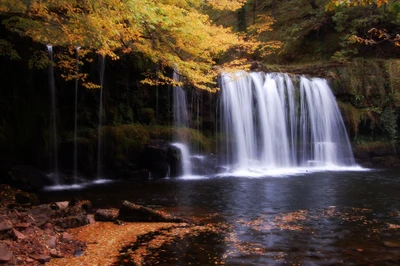 Serene Waterfall Amidst Autumn Foliage in a Nature Reserve