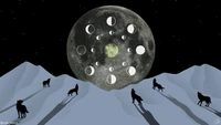 Loups sous les phases de la lune