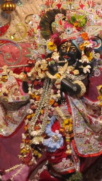 krishna, seigneur