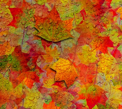 Colorful autumn leaves with droplets of water, reflecting the vibrant essence of the fall season.