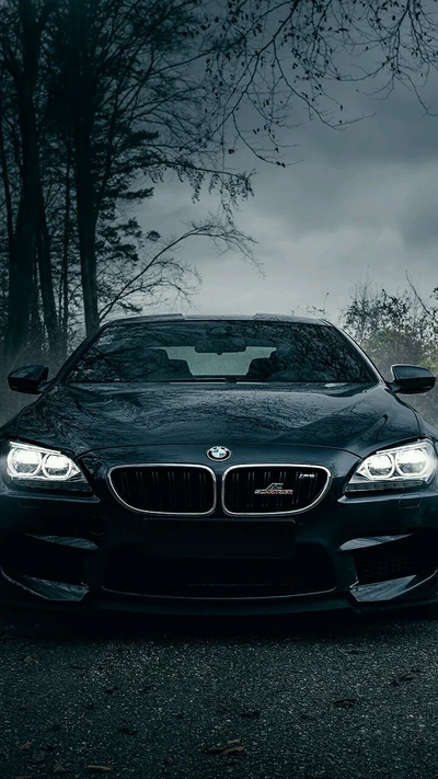 bmw m tecnic, bmw m6