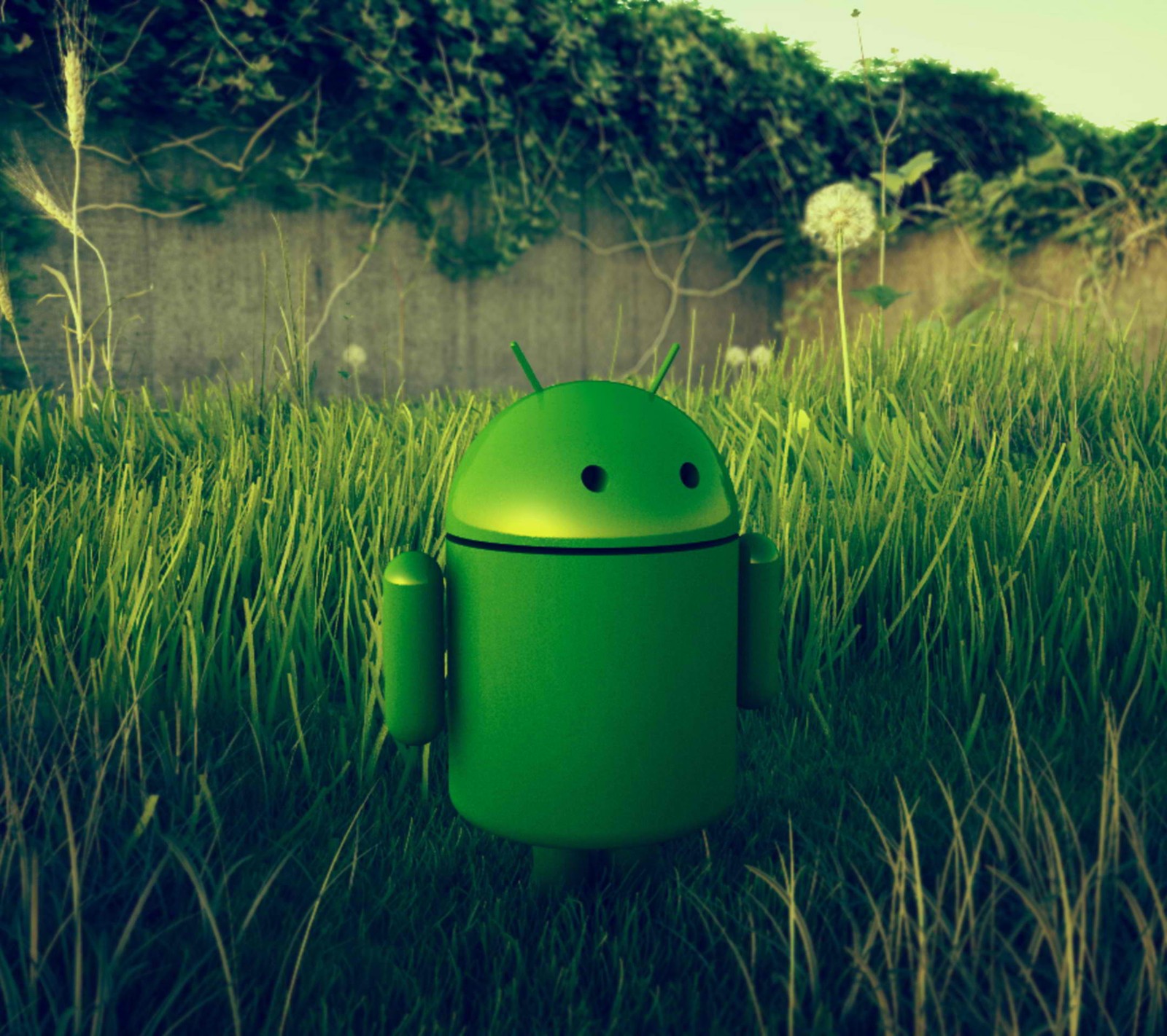 There is a green robot that is standing in the grass (android, grass)