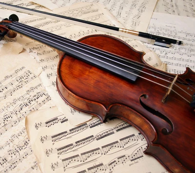 instrumento, música, musical, violín