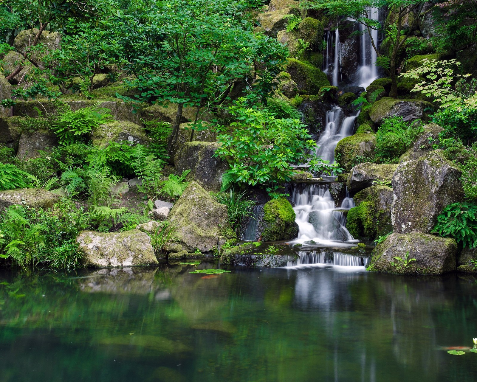 A close up of a waterfall in a lush green forest (forest, green, lake, nature, waterfall)