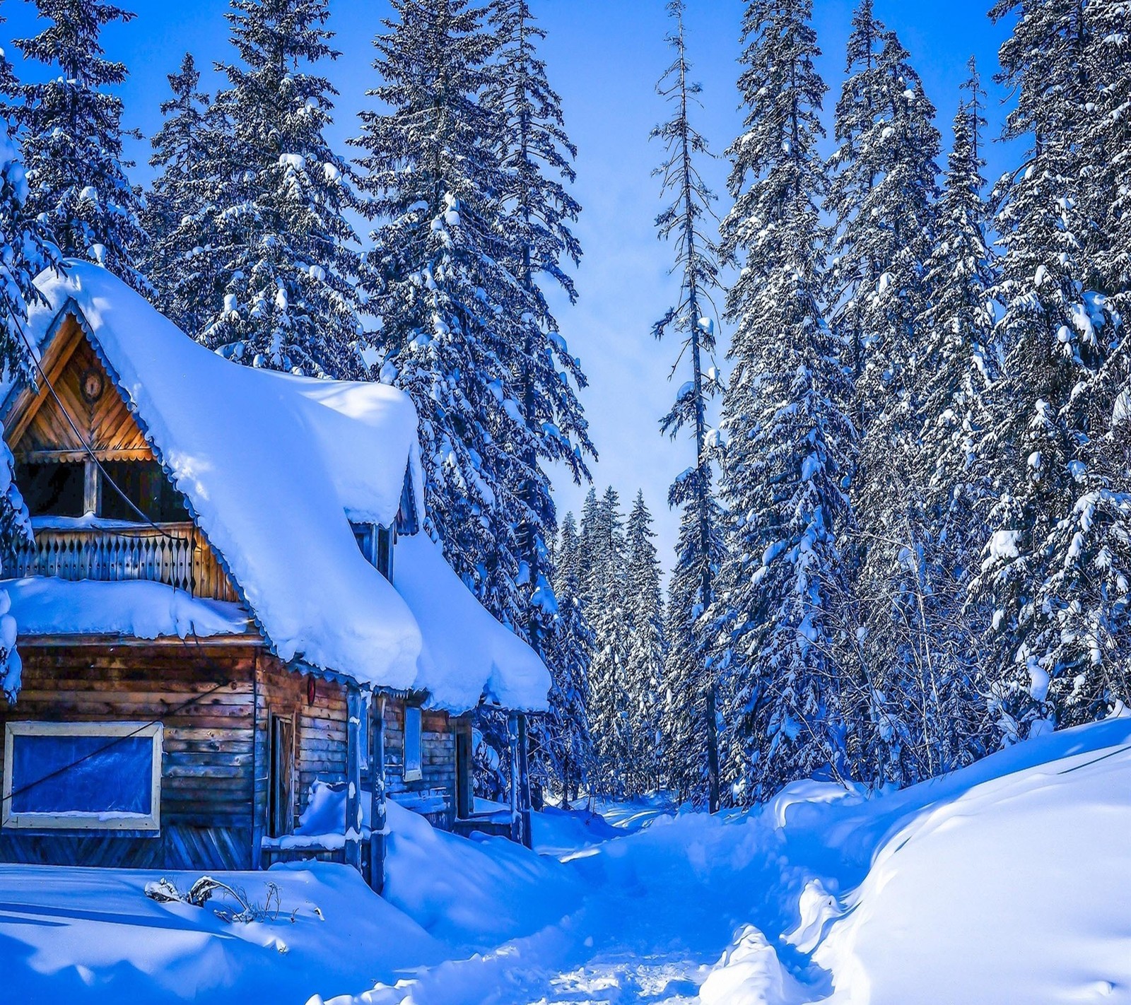 Cabaña nevada en el bosque con un cielo azul y árboles (hermoso, lindo, mirada, agradable)