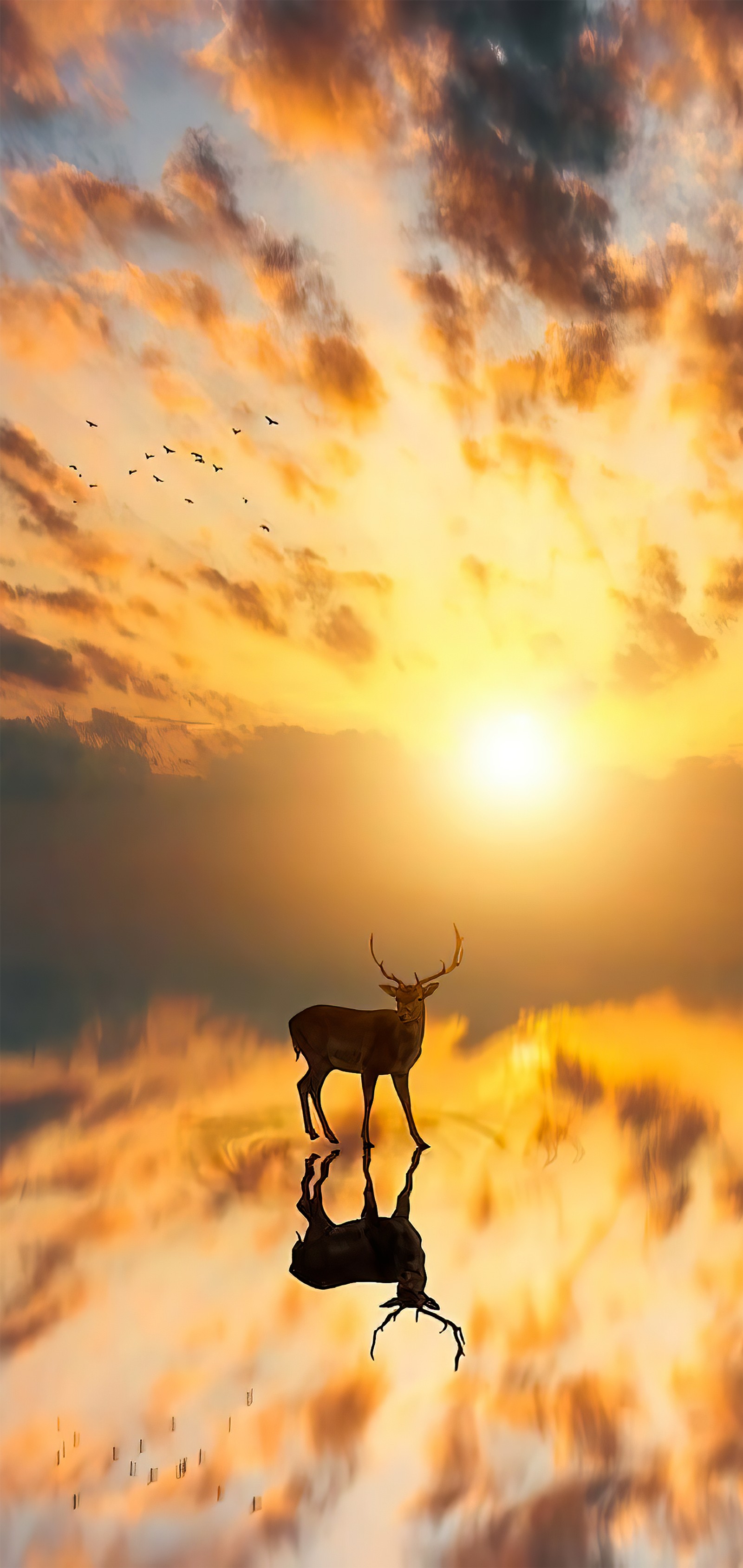 Une girafe se tenant sur un lac avec un coucher de soleil en arrière-plan (nuage, atmosphère, écorégion, lumière, crépuscule)