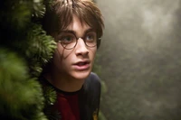 Harry Potter en el Bosque Mágico: Un Retrato de Daniel Radcliffe