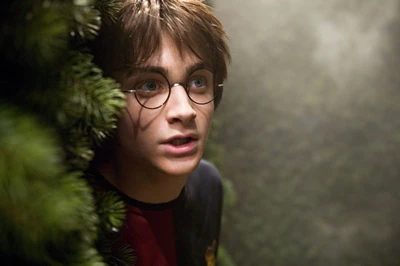 Harry Potter in the Magical Forest: A Portrait of Daniel Radcliffe