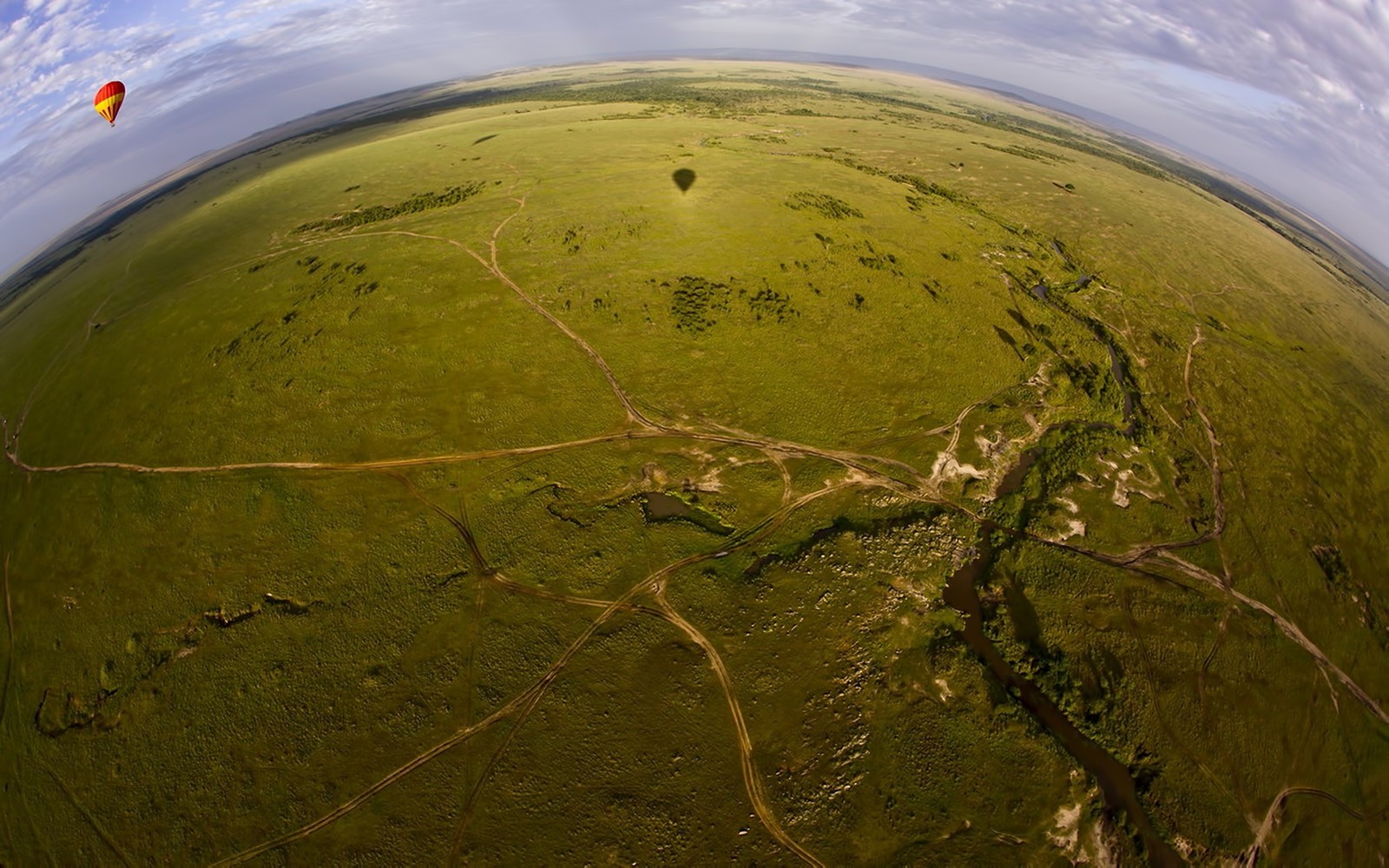 Un oiseau volant un cerf-volant au-dessus d'un champ vert avec un chemin en terre (panorama, forêt, plaine, ballon, hauteur)