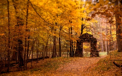 Bosquet d'Automne avec Arc en Pierre Entouré de Feuilles Dorées