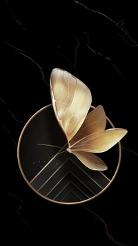 Elegant butterfly design featuring golden wings against a dark, minimalist background, symbolizing transformation and beauty.