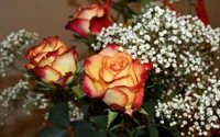 Vibrant Bouquet of Red and Yellow Roses with Delicate White Accents