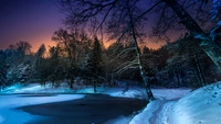 Serene Winter Night at a Snow-Covered Lake