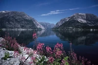 Paisagem de fiorde serena com reflexo da montanha e flores silvestres