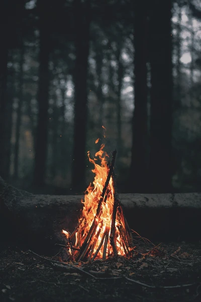 fire, nature