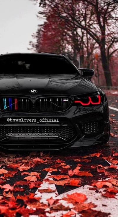 Black BMW M5 with striking headlights, surrounded by autumn leaves.