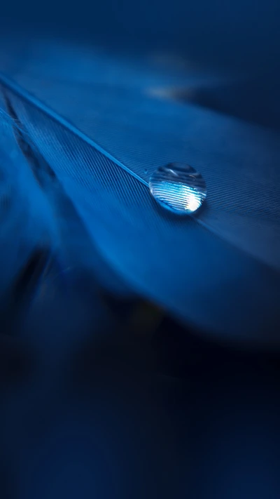 Reflejo azul eléctrico en una superficie plumosa