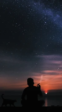 alone, cat, dark, galaxy, lonely wallpaper