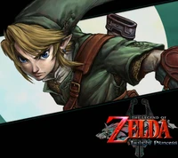 Link aus Der Legende von Zelda: Twilight Princess