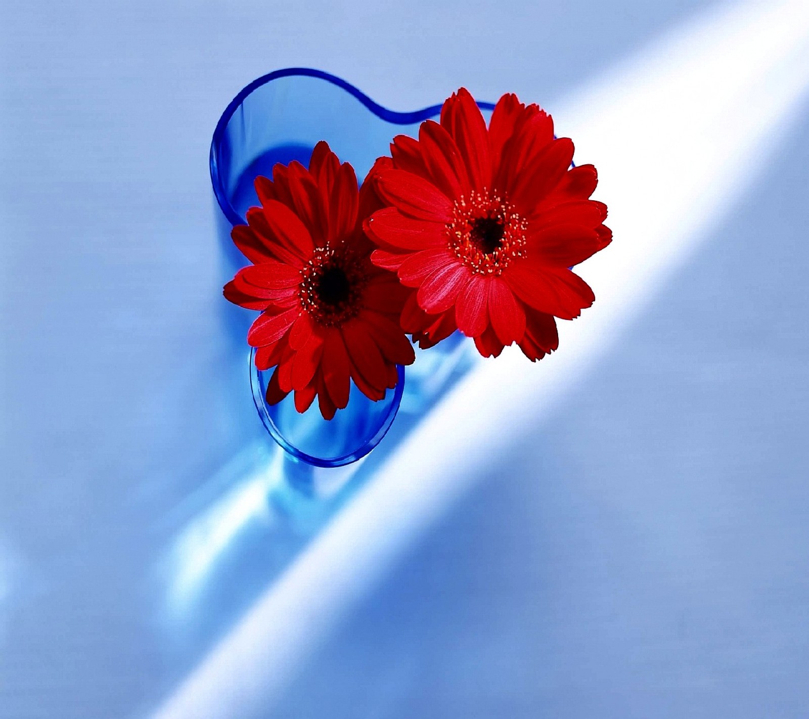 Il y a deux fleurs rouges dans un vase bleu sur la table (fleurs)