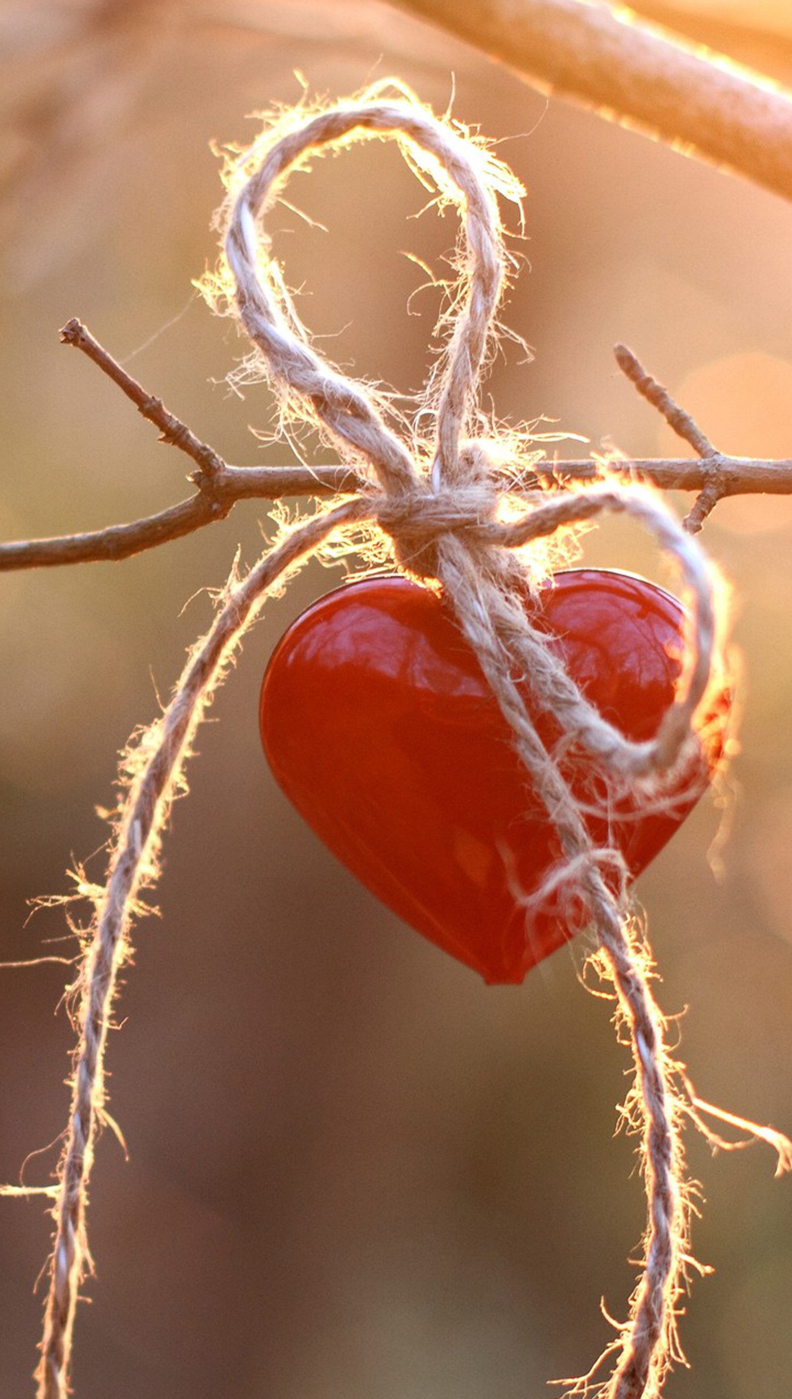 Um coração vermelho pendurado em um galho de árvore (coração, amor, natureza)