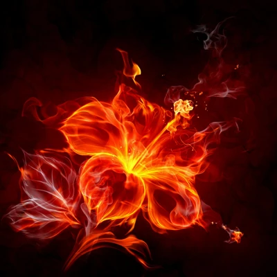 Fiery Floral Elegance: A Hibiscus in Flames