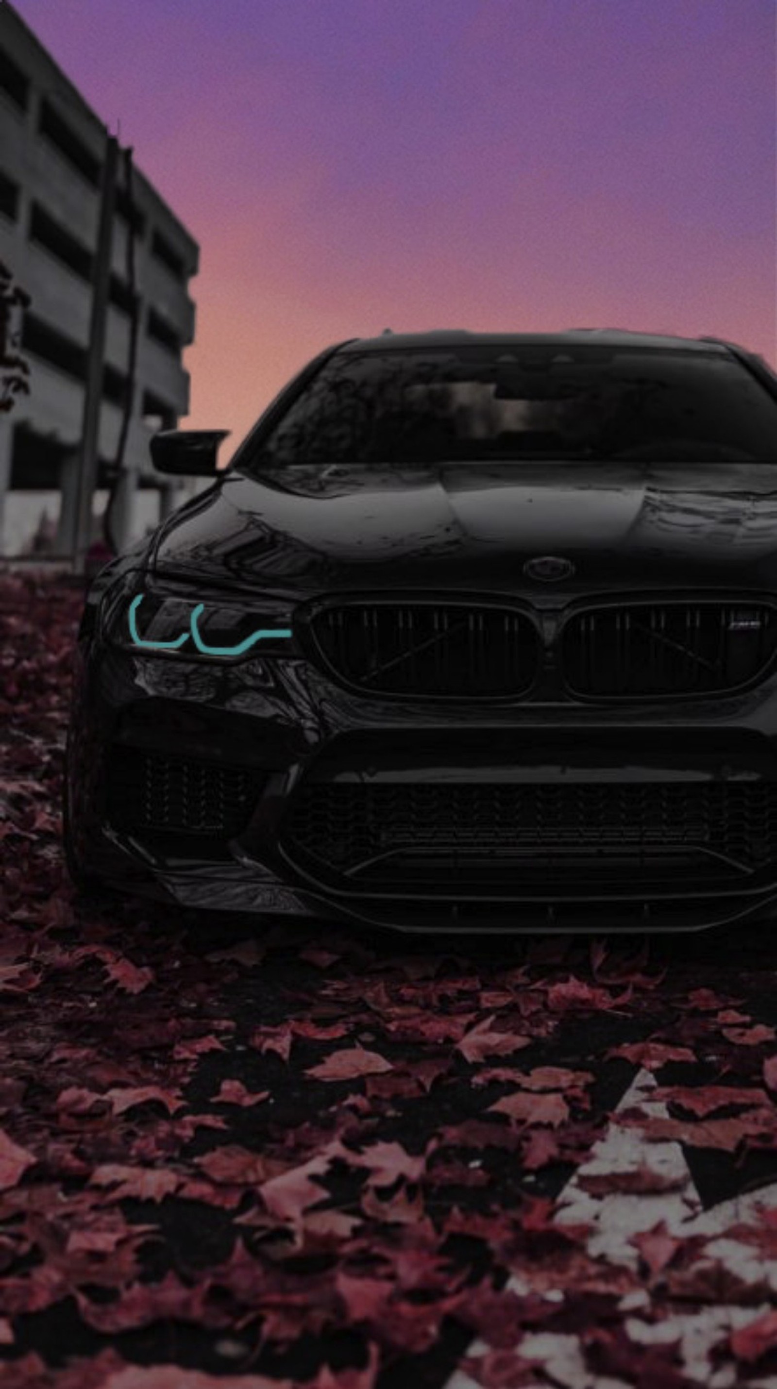 Lade bmw, m5, auto, vechicle, deutsch Hintergrund herunter