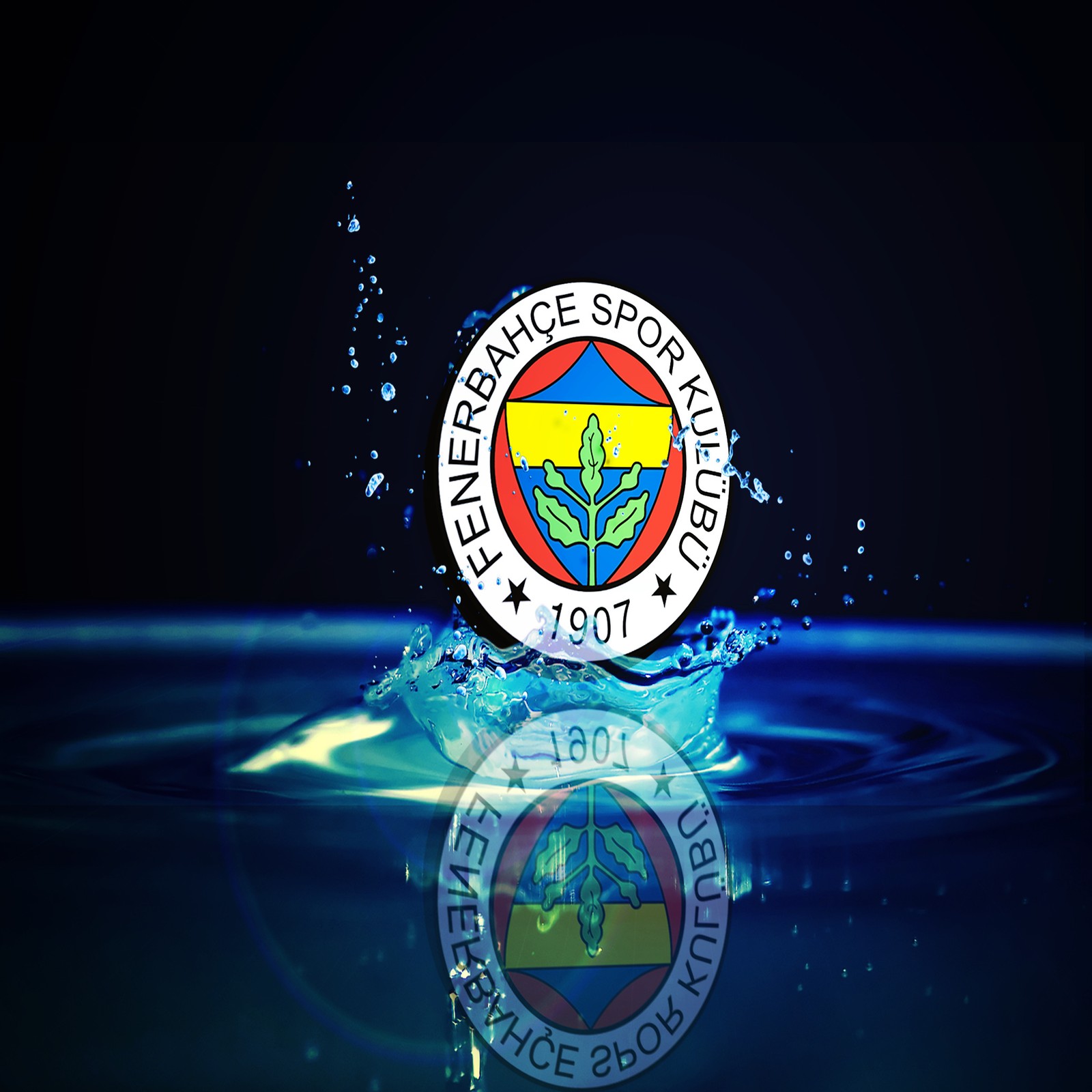 buyuk, fb, fenerbahce, lacivert, sari Download Wallpaper